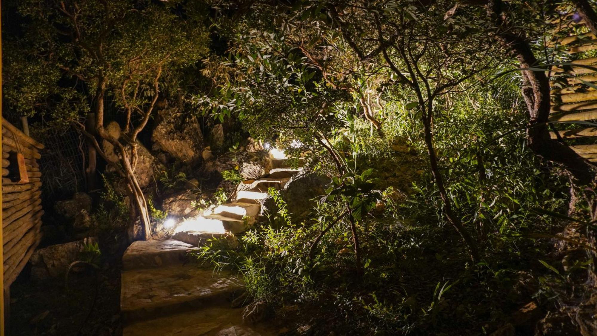 Vila Flor - Chapada Dos Veadeiros อัลโต ปาไรโซ เด โกยาส ภายนอก รูปภาพ