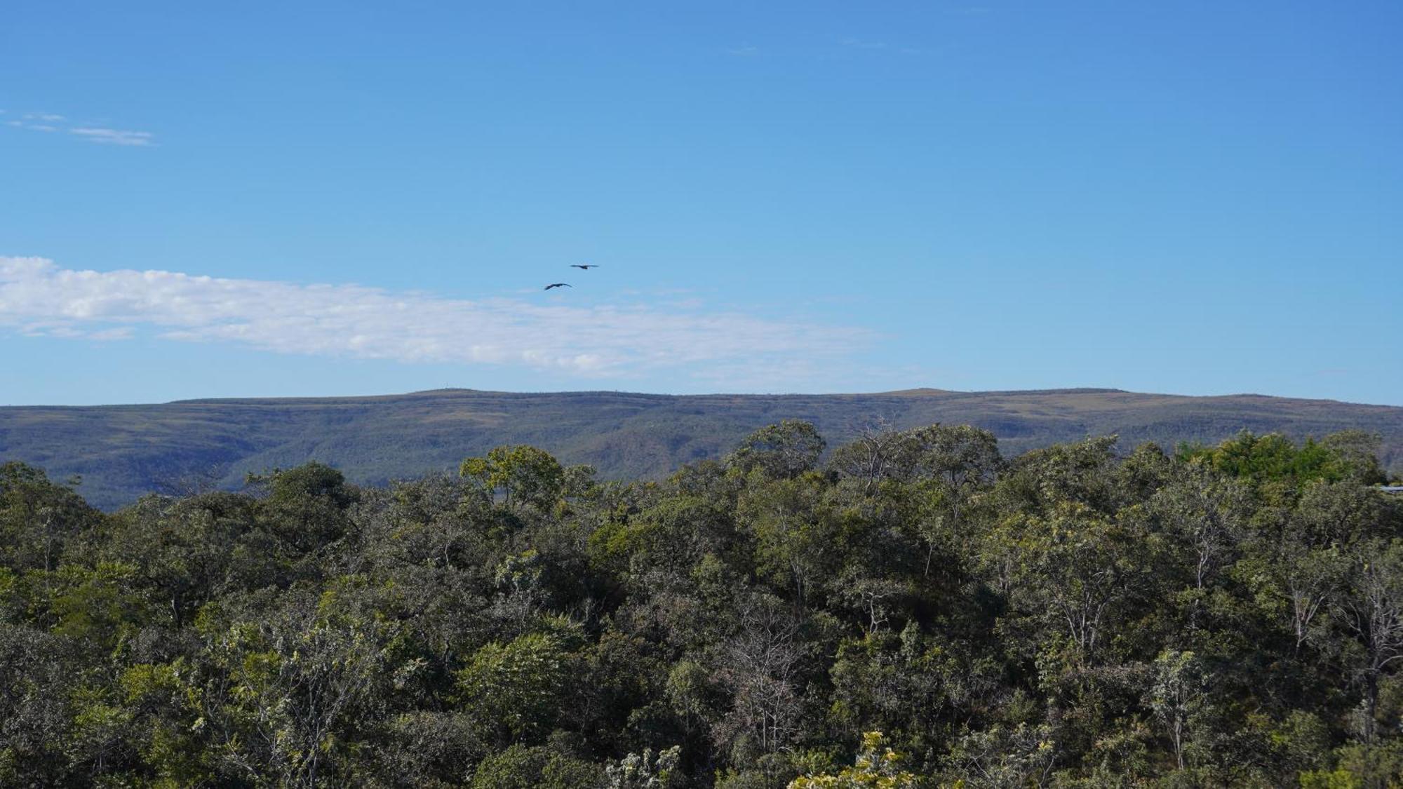 Vila Flor - Chapada Dos Veadeiros อัลโต ปาไรโซ เด โกยาส ภายนอก รูปภาพ