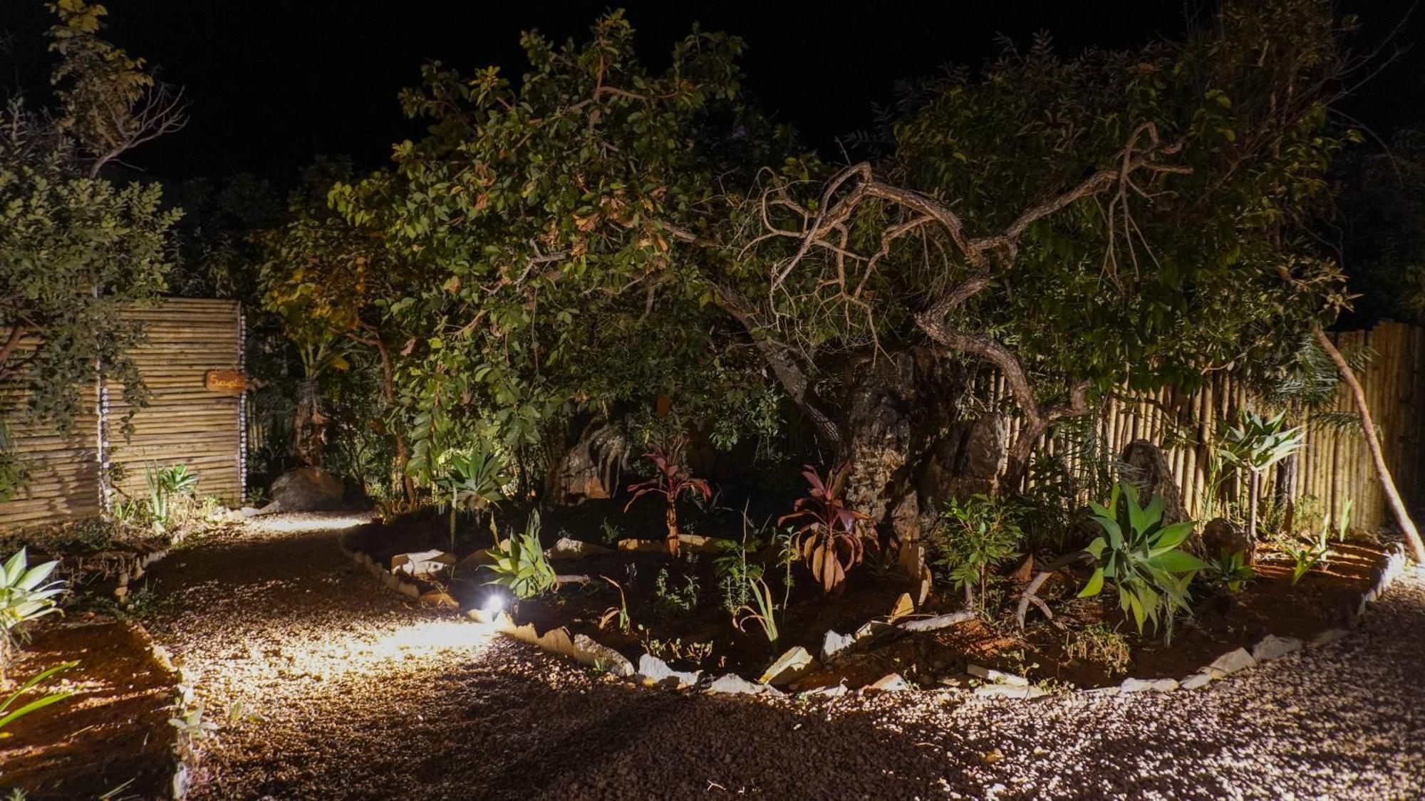 Vila Flor - Chapada Dos Veadeiros อัลโต ปาไรโซ เด โกยาส ภายนอก รูปภาพ